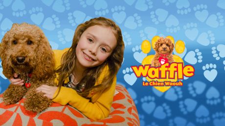 Waffle, le chien waouh