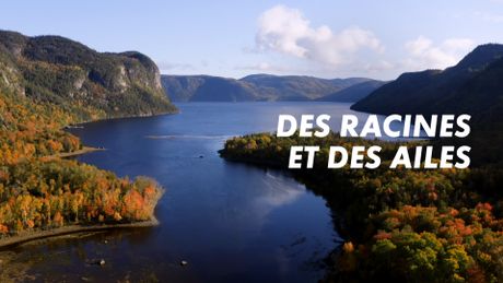 Des racines et des ailes