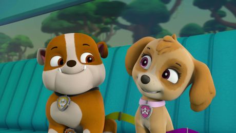 Paw Patrol, la Pat'Patrouille - Saison 4