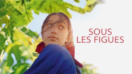 Sous les figues