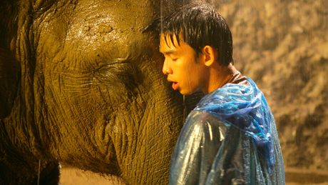 Sunny et l'éléphant - Trailer