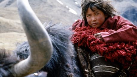 Himalaya, l'enfance d'un chef - Trailer