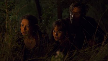 Summer Camp - Trailer