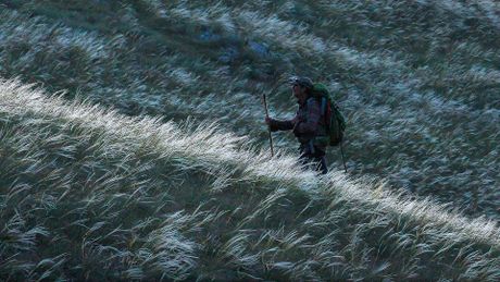 Marche avec les loups - Trailer