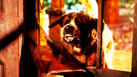 Cujo - Trailer