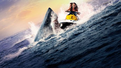 Shark Bay - Trailer