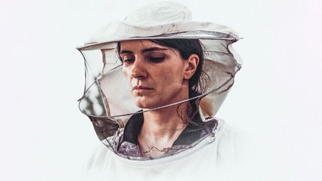 La Ruche - Trailer