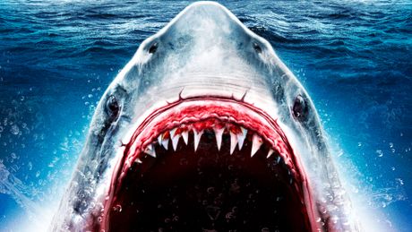 Planet of the Sharks - Trailer