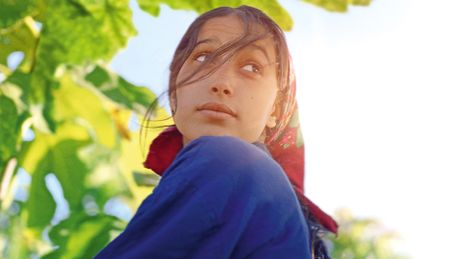 Sous les figues - Trailer