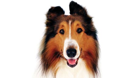 Lassie - Trailer