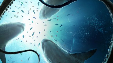 Pack 2 Films EN EAUX TROUBLES - Trailer