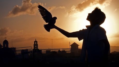 Chala, une enfance cubaine - Trailer