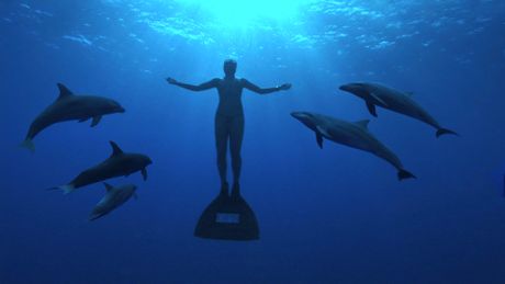 The Cove : la baie de la honte - Trailer