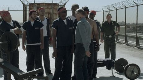 True Crimes - Trailer