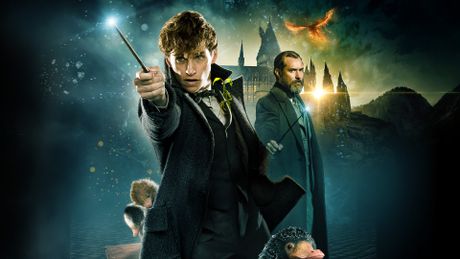 Pack 3 films - LES ANIMAUX FANTASTIQUES - Trailer