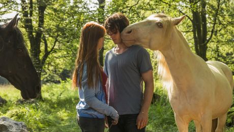 Whisper : libres comme le vent - Trailer