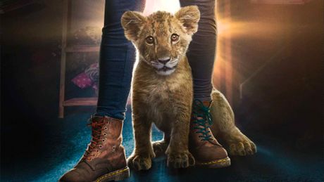 King - Trailer