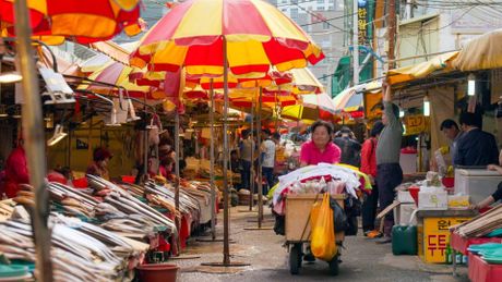 Marchés du monde