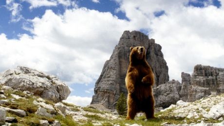 L'Ours - Trailer