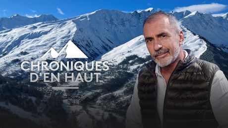 Chroniques d'en haut