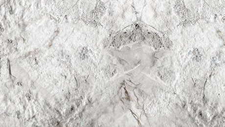 Pack 6 saisons KAAMELOTT - Trailer