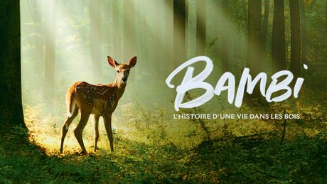 Bambi, l'histoire d'une vie dans les bois - Trailer