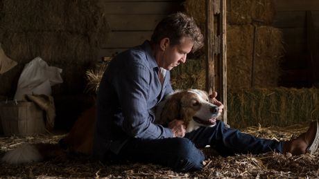 Mes autres vies de chien - Trailer