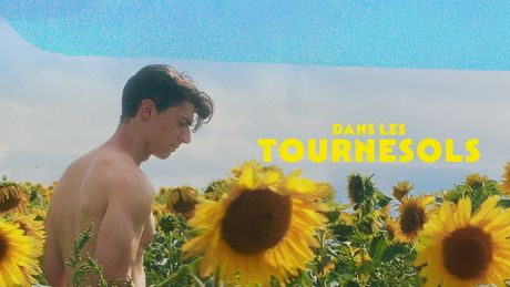 Dans les tournesols - Trailer