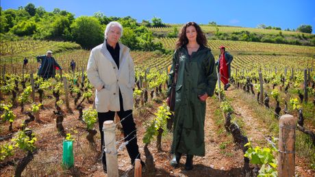 Le Sang de la vigne - Season 3 - Trailer