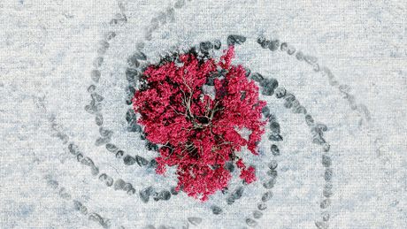 Game of Thrones - Season 8 - Trailer