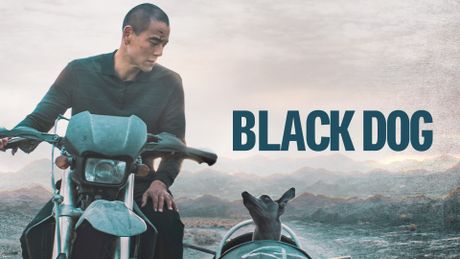 Black Dog - Trailer