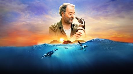 Mon ami le petit manchot - Trailer