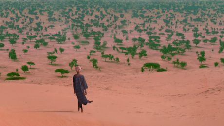 The Great Green Wall - Trailer