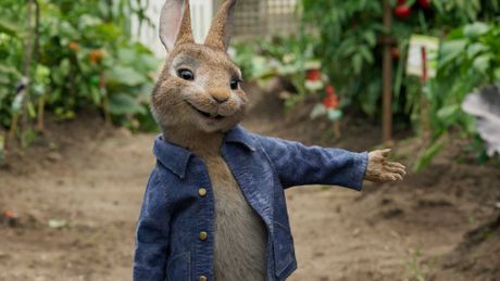 Pierre Lapin - Trailer
