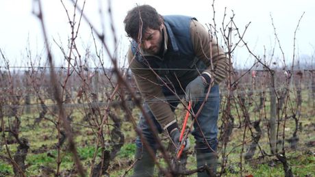 Ce qui nous lie - Trailer