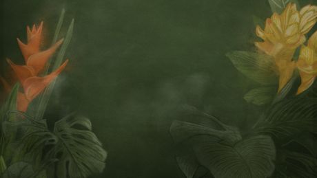 Pack 3 saisons THE WHITE LOTUS - Trailer