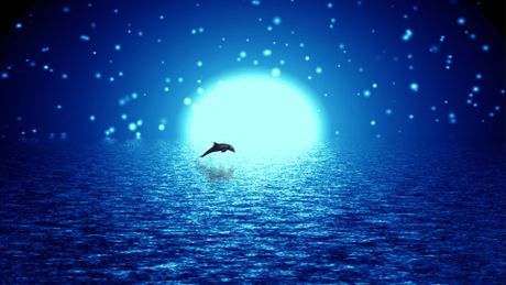 Le grand bleu (version longue) - Trailer