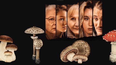 Quand vient l'automne - Trailer