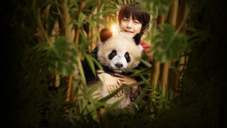 Moon le panda - Trailer