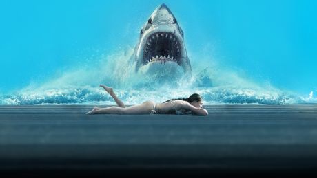 Shark Warning ! - Trailer