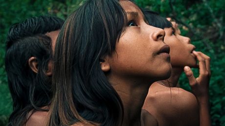La Fleur de Buriti - Trailer