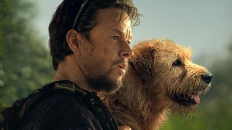 Arthur the King - Trailer
