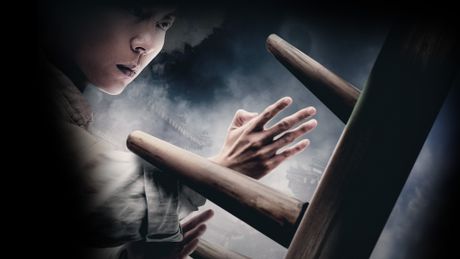 Ip Man : L'éveil du maître - Trailer