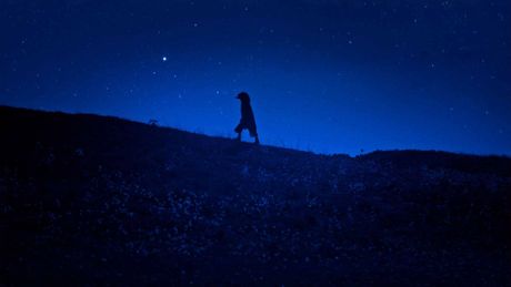 Le bonheur est une bête sauvage - Trailer