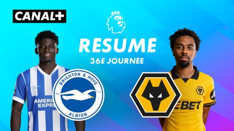 Le résumé de Brighton / Wolverhampton