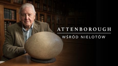 Attenborough: Wśród nielotów