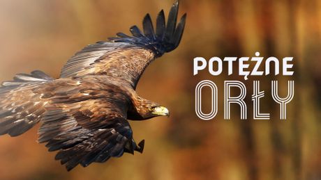 Potężne orły