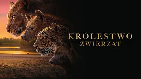 Królestwo zwierząt