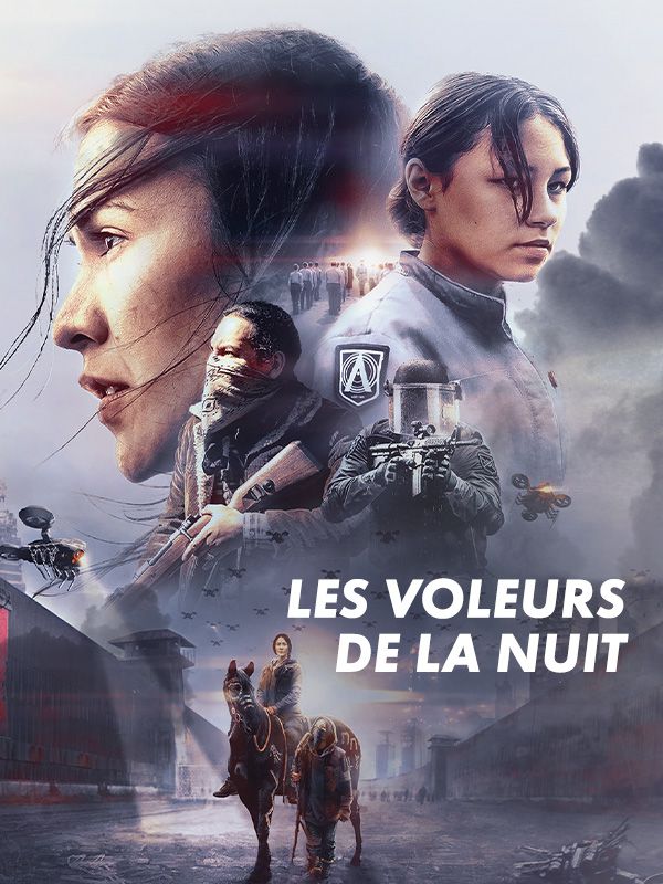 Affiche du film Les voleurs de la nuit