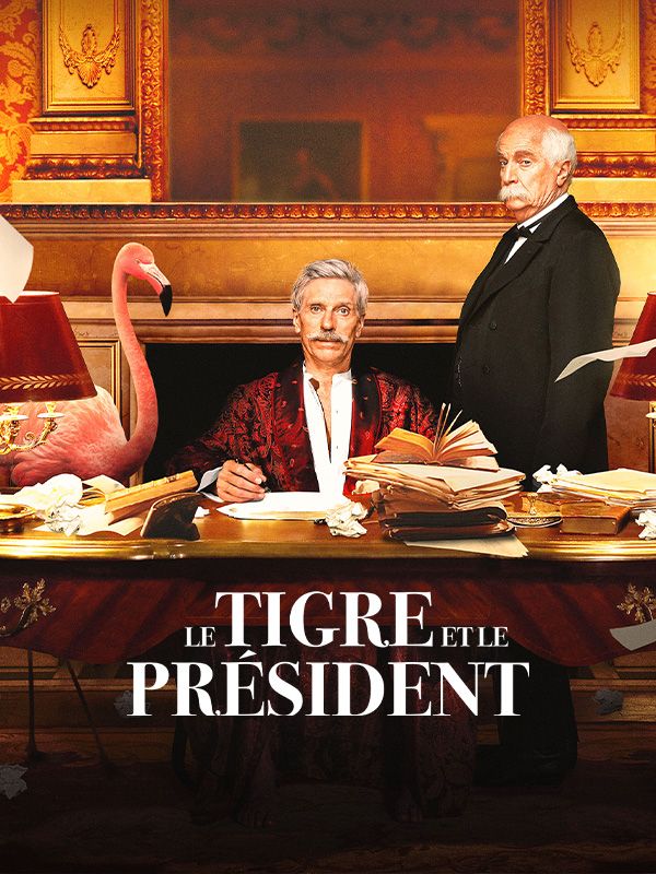 Affiche du film Le Tigre et le Président